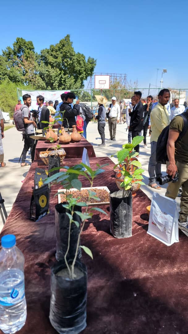 مهرجان البن في تعز