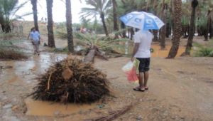 فقدان عدد من الصيادين في إعصار «ميغ» الذي ضرب سقطرى
