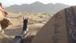 مصادر: 50 قتيلا وجريحا في صفوف القوات الحكومية بمعارك متجددة في عسيلان