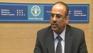 الميسري يوجه بتوقيف البناء العشوائي في عدن