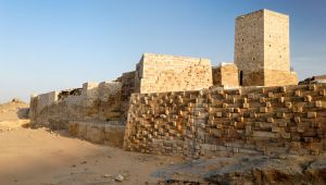 الحرب تهاجم المواقع القديمة في اليمن وتدمر سجلها الأثري (ترجمة خاصة)