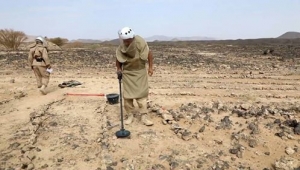 قوات الجيش تفكك حقل ألغام جنوب مدينة الحديدة