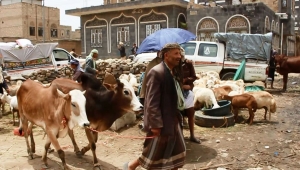 بين الفرحة والحرمان.. اليمنيون: عيد أضحى بلا أضحية (تقرير)