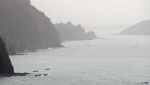 قيادي حوثي: سنغلق باب المندب لو انضمت دول الخليج للحرب