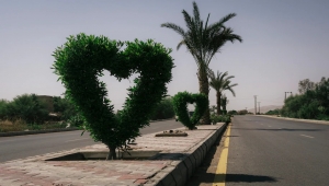 The unlikeliest of sights amid Yemen’s war: Trees sculpted into whimsical forms