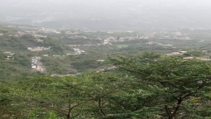 جراء حادث مروري.. توقف حركة السير بين محافظتي إب والحديدة