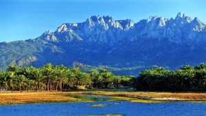 حديبو.. استعددات للإحتفاء بيوم اللغة السقطرية مطلع مارس المقبل