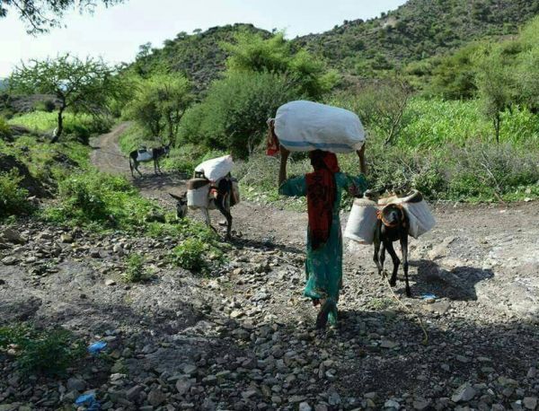 المليشيا تطرد سكان قرية خورة غرب تعز من منازلهم وتختطف عددا من المواطنين