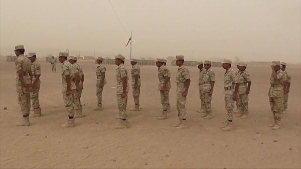 قوات الصقور.. ذراع الإمارات في مأرب اليمنية
