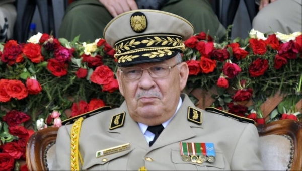 الجيش الجزائري يضمن المرحلة الانتقالية ويتعهد بملاحقة 