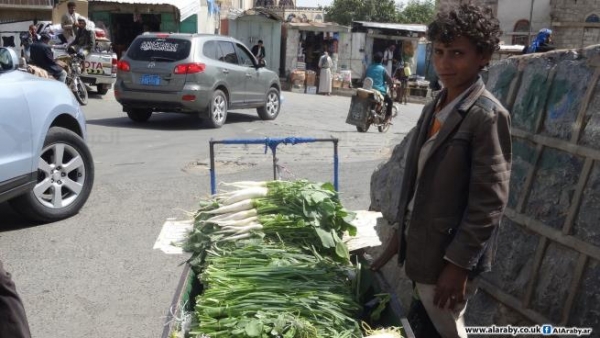 مبيدات اليمن.. خضراوات وفواكه ملوّثة على الموائد