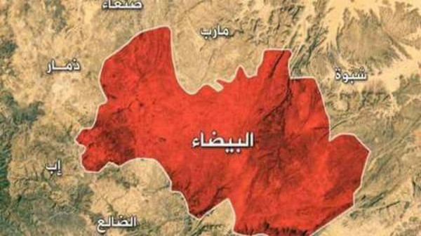 معركة جماعة الحوثي وقبائل البيضاء.. اتجاه واحد