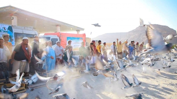 500 طائر يتنافسون في سباق الحمام الزاجل للمرحلة الأولى بمسافة 420 كم بحضرموت (صور)
