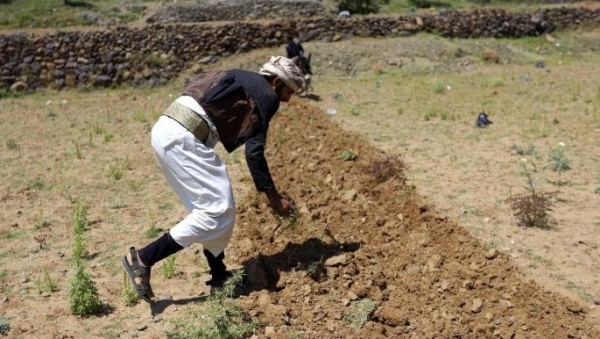 تدهور الري يوسّع رقعة الجوع في اليمن