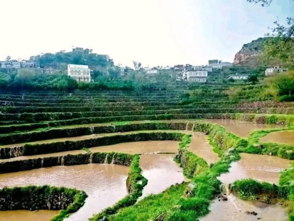 الأرصاد اليمني يتوقّع أمطاراً متفرقة وطقساً مغبّراً