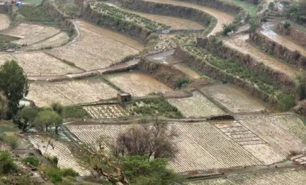 الأرصاد اليمني يتوقع أمطارا رعدية في عدة محافظات