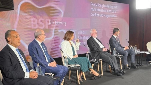 وزير خارجية مصر يدعو إلى إصلاح مجلس الأمن