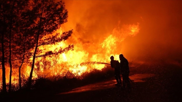 سوريا.. أمطار غزيرة تخمد حرائق باللاذقية بعد ساعات من المكافحة