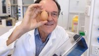 عالم أسترالي يخترع جهازًا لإعادة البيضة نيئة بعد سلقها