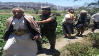 إب.. القبض على مزارعين يسقون الخضروات من مياه الصرف الصحي (صور)