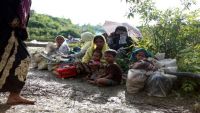 توكل كرمان تنتقد مستشارة ميانمار لصمتها على المجازر ضد الروهينغيا