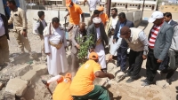 مأرب.. مشروع غرس 800 شجرة بمدارس المحافظة