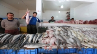 سلطات أبين تشدد على ضرورة وضع آلية لضبط أسعار الأسماك بالمحافظة