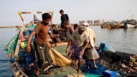 اليمن يحاول انتشال قطاع الأسماك المدمّر لزيادة الإيرادات