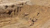 "العفو الدولية" تطالب بتحقيقات دولية مستقلة حول المقابر الجماعية في غزة