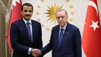 أردوغان يبحث مع أمير قطر آخر التطورات في المنطقة