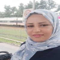 لحظة الدولة.. لماذا أصبحت الفرصة مواتية أمام رشاد العليمي الآن؟-بشرى العنسي